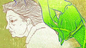 Theo chứ không bị dắt