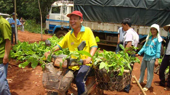 Cacao "cứu" điều