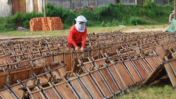 Hương quế Trà Bồng