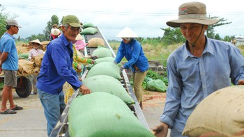 Đầu năm "bói quẻ" xuất khẩu gạo