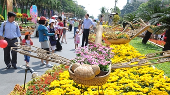 Tết phố