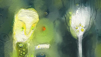 Cánh hoa mai thứ sáu