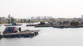 Cồn Mỹ