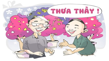 Tình thầy trò