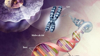Bí ẩn gen di truyền