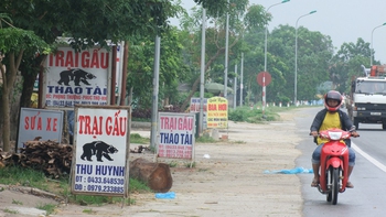 Khi nuôi gấu hết thời, họ đòi trả lại cho...Nhà nước