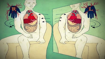 Khoa học và những nghiên cứu về các cơ thể "Lộn tùng phèo"!
