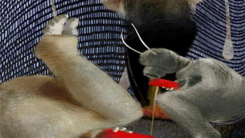 Nói về chúng tôi