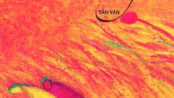 Ẩn tàng nỗi niềm và thân phận