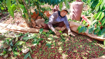 Thuộc bài trước khi chơi