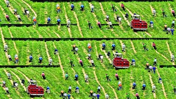 Ẩn họa buôn người từ xuất khẩu lao động: còn nhiều nhức nhối