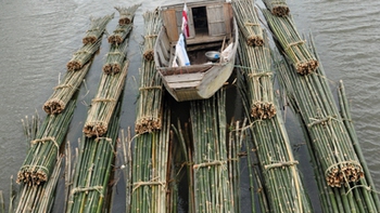Theo dòng lồ ô