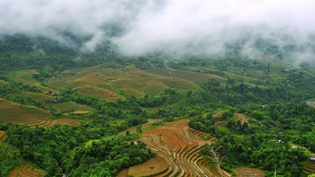 Hơi may đỉnh núi