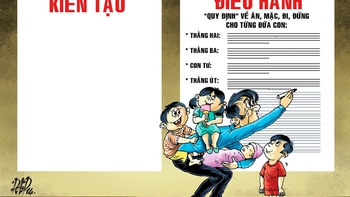 Kiến tạo và điều hành