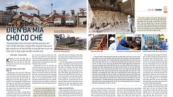 Giải cho được bài toán giá