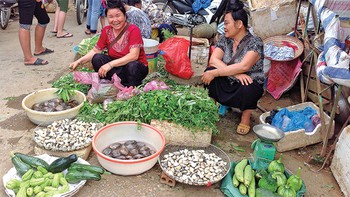 Sơn La: bản sắc nhạt phai