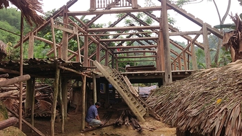 Nhà sàn Mường ở Phú Thọ: Một vùng văn hóa sắp tan biến