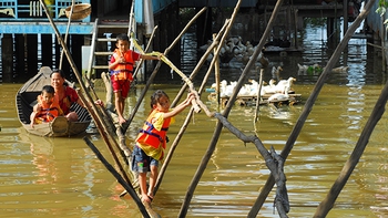 ​Mùa của sự sống