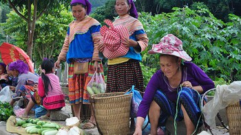 ​Gặp lại Sìn Hồ