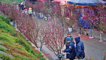 ​Rong ruổi theo dấu chân hoa