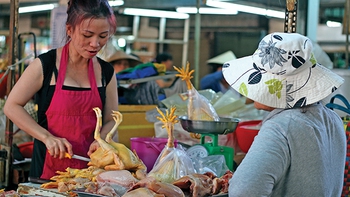 ​Thói quen tiêu dùng cứu chăn nuôi được bao lâu?