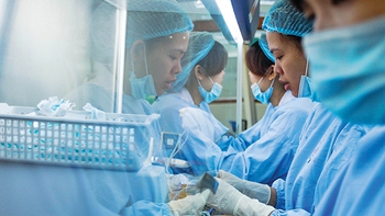 ​“Phân xưởng”điều chế máu
