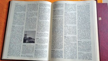 ​Tên theo chủ: Qua vụ Google và vụ Britannica tiếng Việt