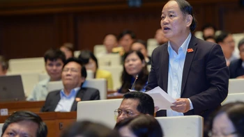 Đại biểu quốc hội thay ai phát biểu?