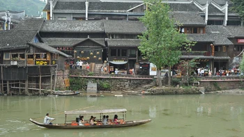 Con phượng hoàng máy 