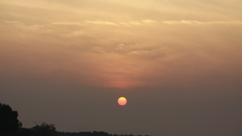 Vào rừng ngắm chim