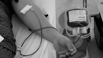 Chị Hoa và 24 lần hiến máu