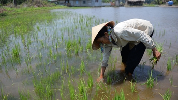 Ai đã làm gì cho sông Mekong?