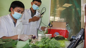 Giấc mơ rau sạch