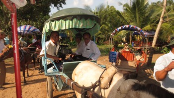 Về Bến Tre đi xe ngựa ăn kẹo dừa