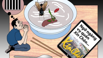 Cái chết của một con ruồi