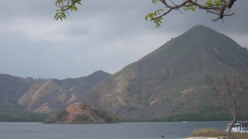 Đi ngắm rồng trên đảo Komodo