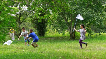 Trẻ học yêu thiên nhiên