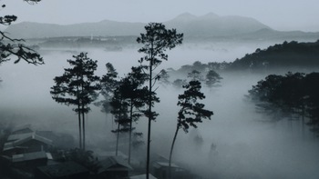 Đà Lạt, trắng đen ký vãng