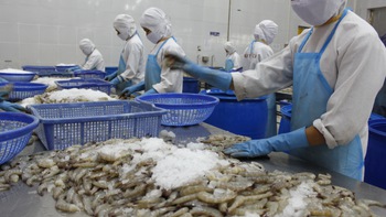 Việt Nam trong quan hệ kinh tế với EU: Mối nguy không phải từ Anh