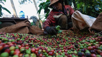 Nông nghiệp tăng trưởng âm, vì sao?