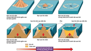 Đi tìm sự thống nhất