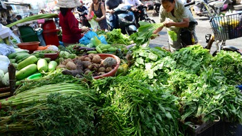 Nhà nước và thị trường