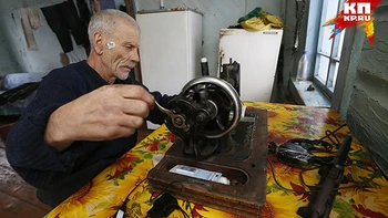 Đón năm mới với chó, mèo và... tổng thống