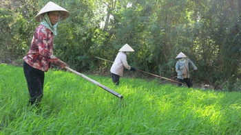  Tích cực và tiêu cực