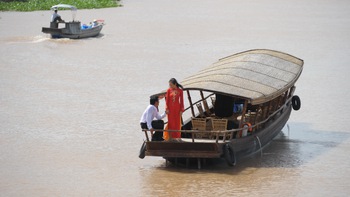 Làm "lục bình trôi" trên sông 
