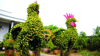  Buồn vui theo… thời tiết