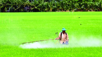 Bài toán nông nghiệp là gì?