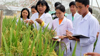  Cố gắng gấp đôi, hạnh phúc cũng gấp đôi