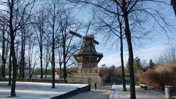Những Don Quixote thời nay