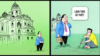 Chăn kiến mua... chung cư